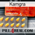 Kamgra new01
